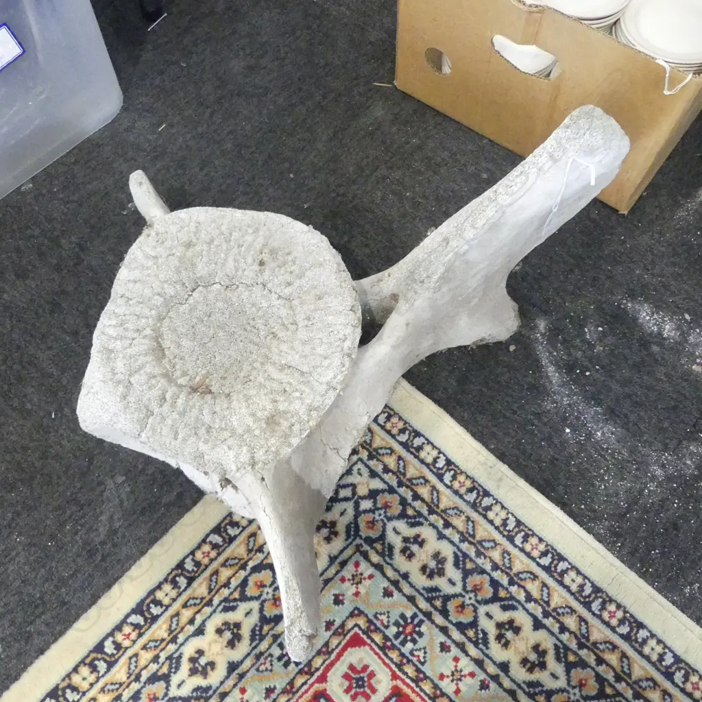 LARGE VERTIBRAY L580MM Image 1++