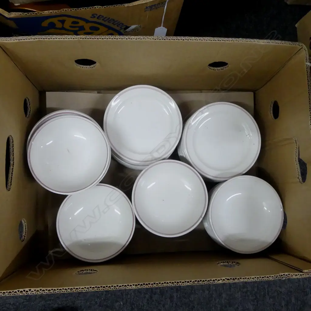 COLLECTION OF CROWN LYNN HOTEL WARE PLATES & BOWLS Image 1++