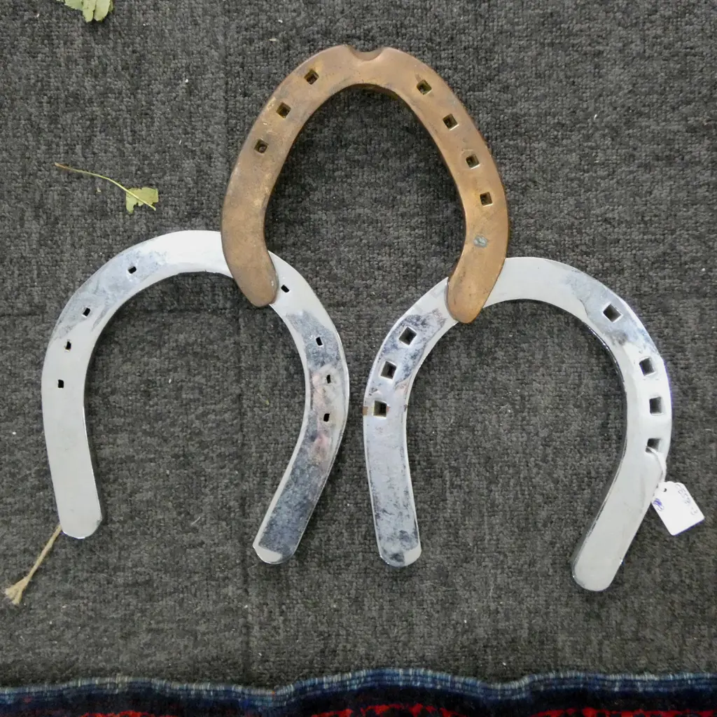 3 ORNAMENTAL HORSE SHOES 205mm Image 1++