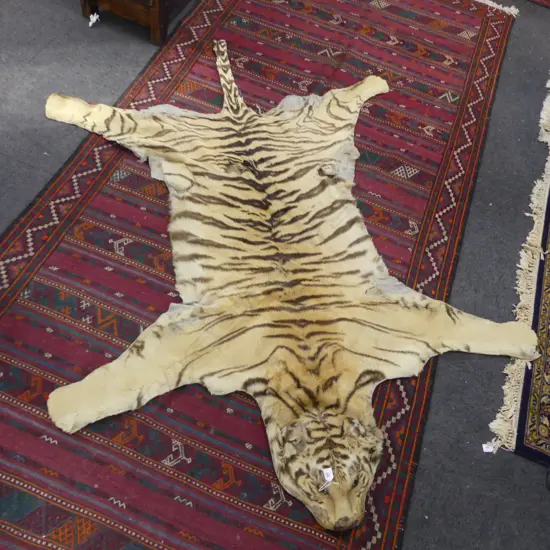 OLD TIGER SKIN with MOUNTED HEAD. Showing wear of age. Hole to back L.2300mm
