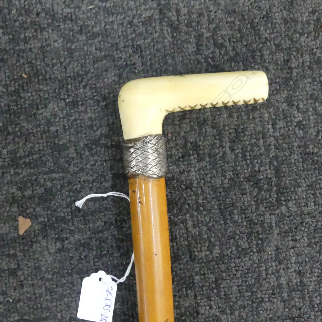 c1900 WHALES TOOTH HANDLED & MALACA CANE WALKING STICK with woven silver wire mount Image 1++