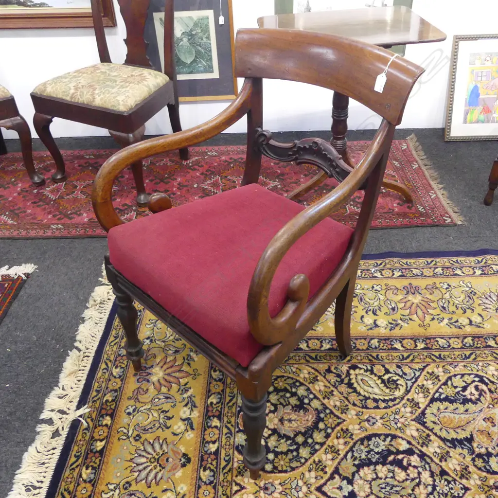 WILLIAM IV MAHOGANY SCROLL ARM CARVER CHAIR with drop-in seat Image 1++