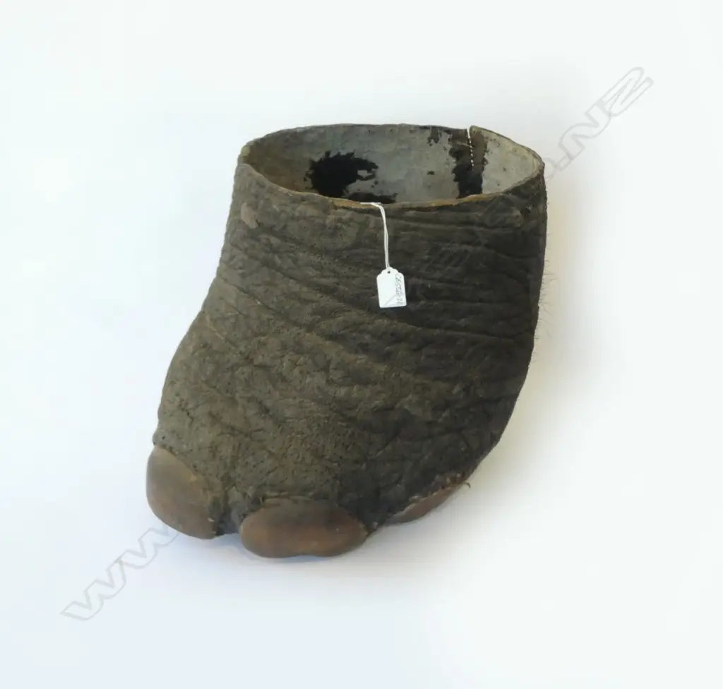 c1900 ELEPHANTS FOOT RUBBISH BIN? H.360mm Image 1++