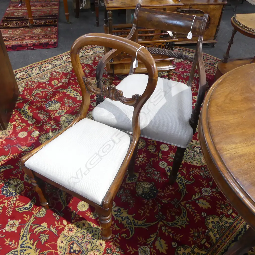 c.1830 REGENCY MAHOGANY CARVER ARMCHAIR + VICTORIAN WALNUT BALLOON BACK CHAIR. Matching upholstery. Image 1++