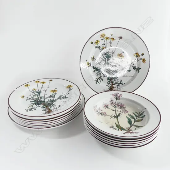 14 VILLEROY & BOCH 'BOTANICA' DINNER PLATES/BOWLS
