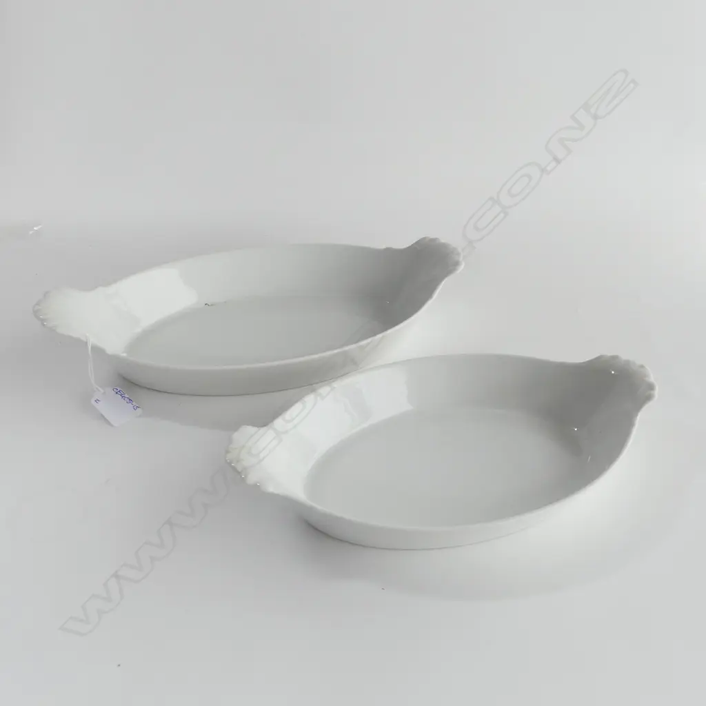 2 PILLIVUYT DISHES W.340mm Image 1++