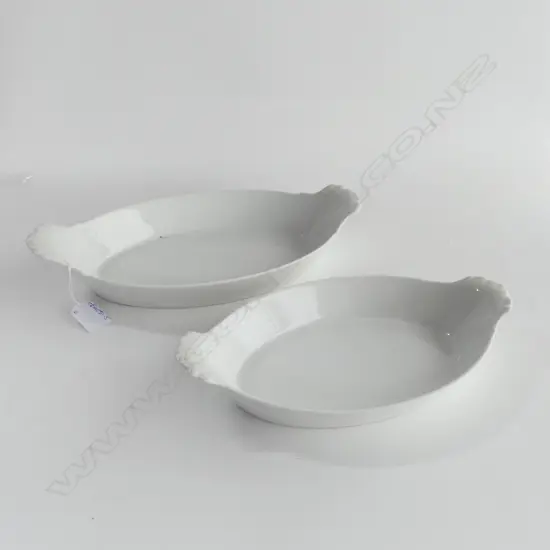 2 PILLIVUYT DISHES W.340mm