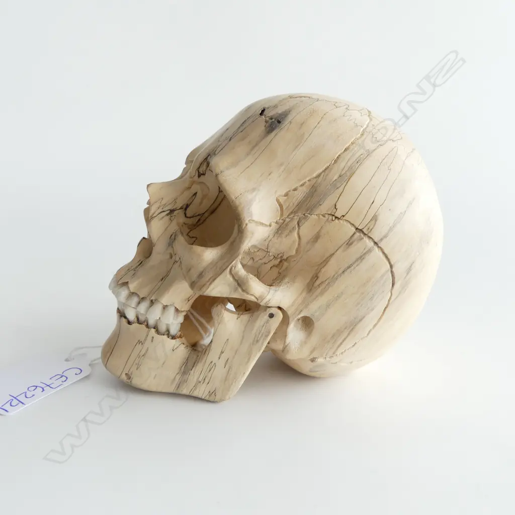 CARVED WOODEN SKULL H.100mm Image 1++