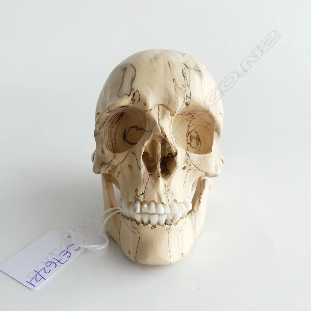 CARVED WOODEN SKULL H.100mm Image 1++