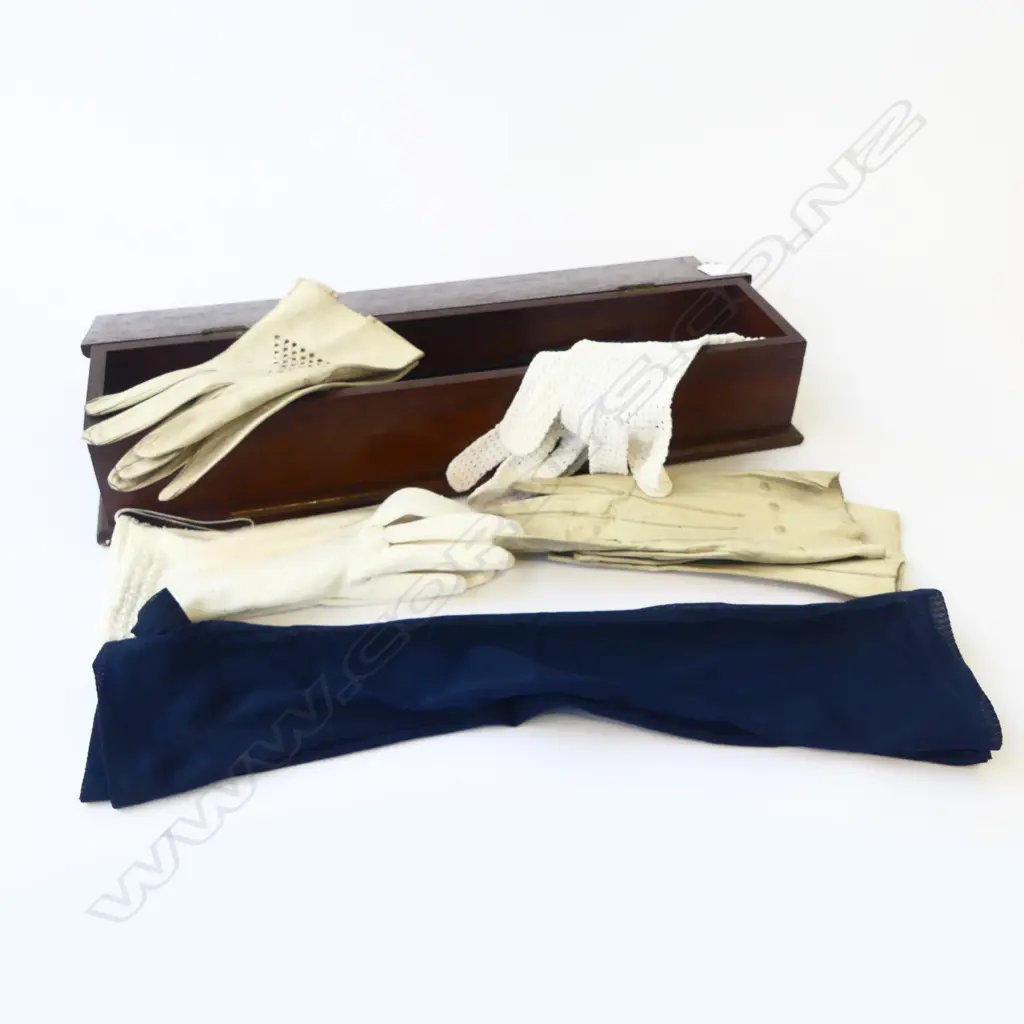 GLOVE BOX W.440mm + GLOVES Image 1++
