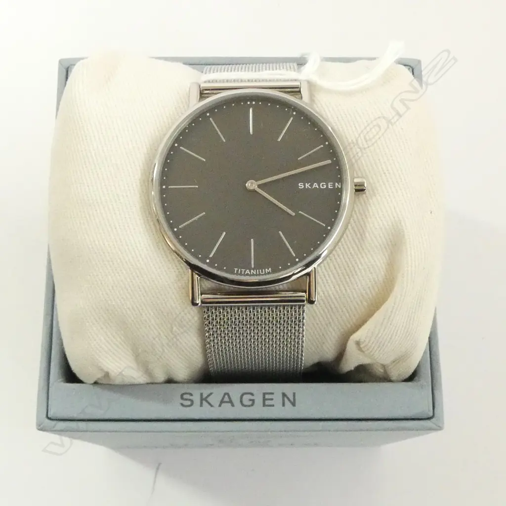 SKAGEN GENT'S QUARTZ WRISTWATCH, NEW OLD STOCK Image 1++
