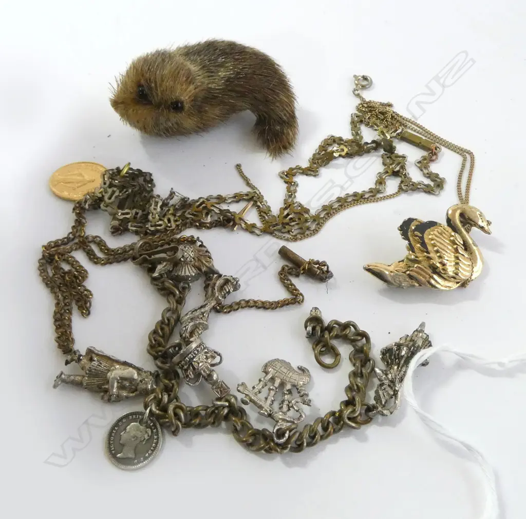 COSTUME JEWELLERY INCLD SEAL FUR BROOCH Image 1++
