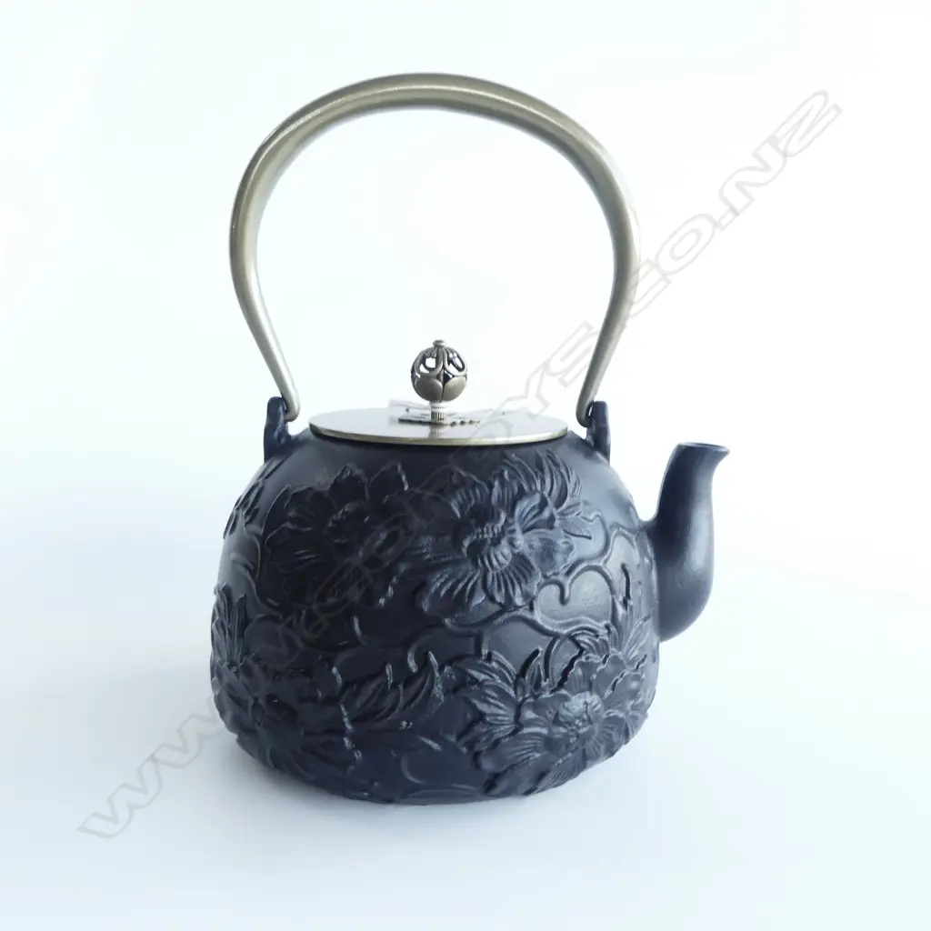 ORIENTAL CAST IRON TEAPOT H.220mm Image 1++