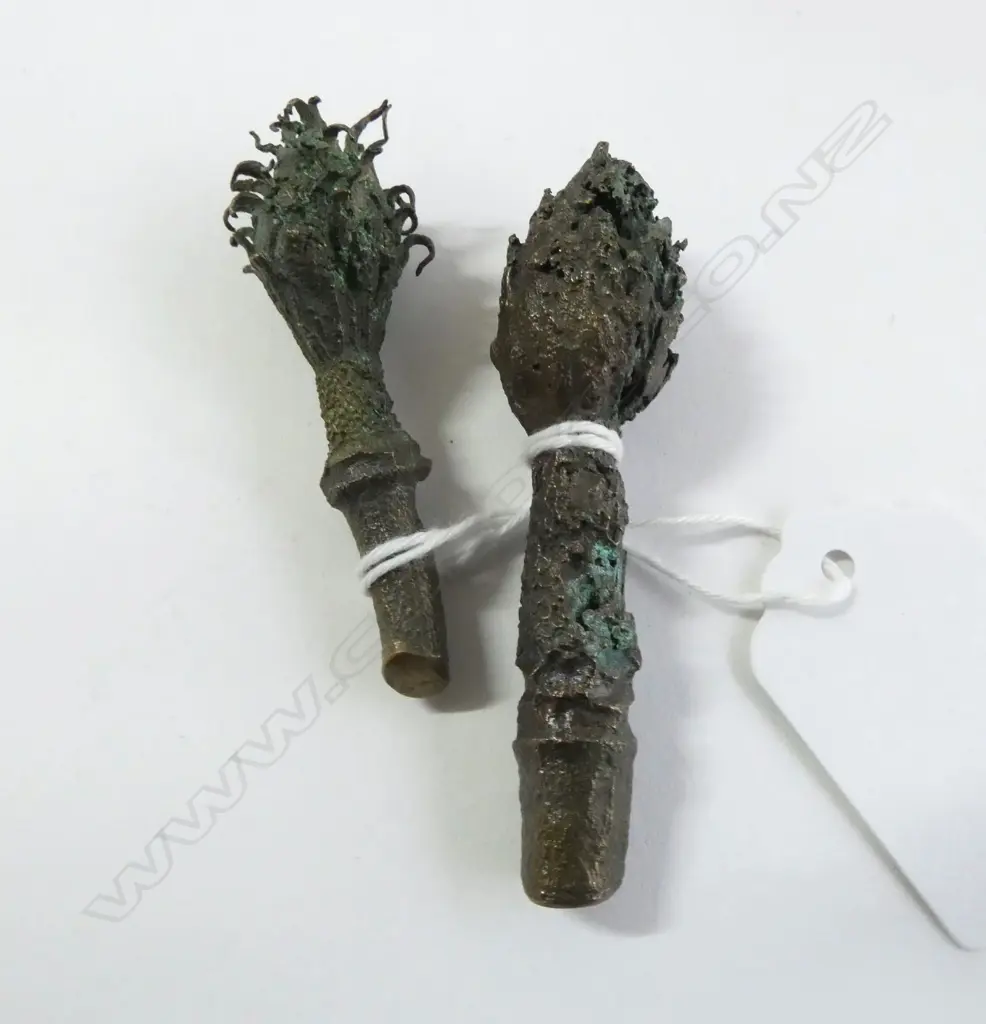 PR. BRONZE MAGNOLIA PODS L.60mm Image 1++