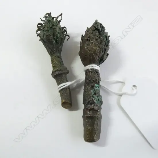 PR. BRONZE MAGNOLIA PODS L.60mm