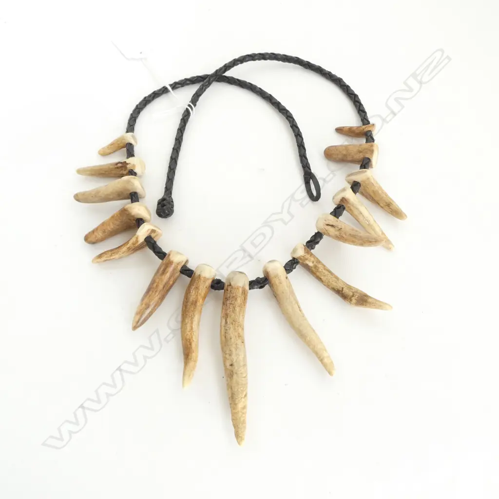 CARVED STAG ANTLER GRADUATING 'TEETH' TYPE NECKLACE on woven leather cord Image 1++