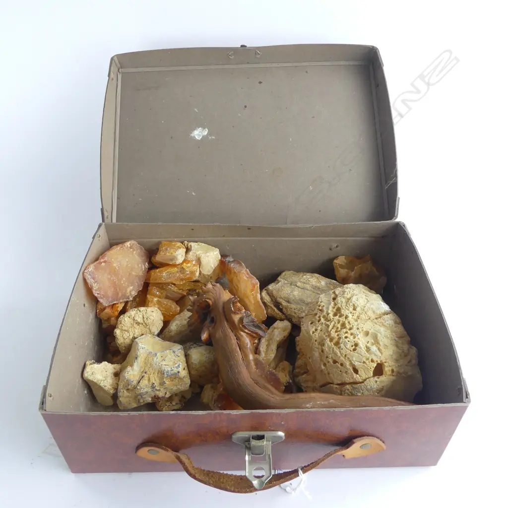 ASST. KAURI GUM IN BOX Image 1++