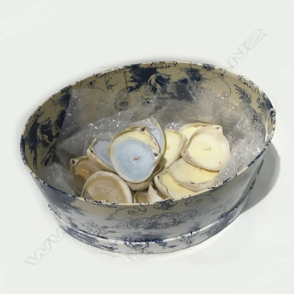 CANDLES: TEALIGHT IN SEASHELLS X15 Image 1++