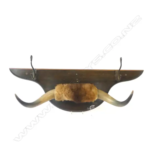 PR OF MOUNTED BOVINE HORNS W.900mm