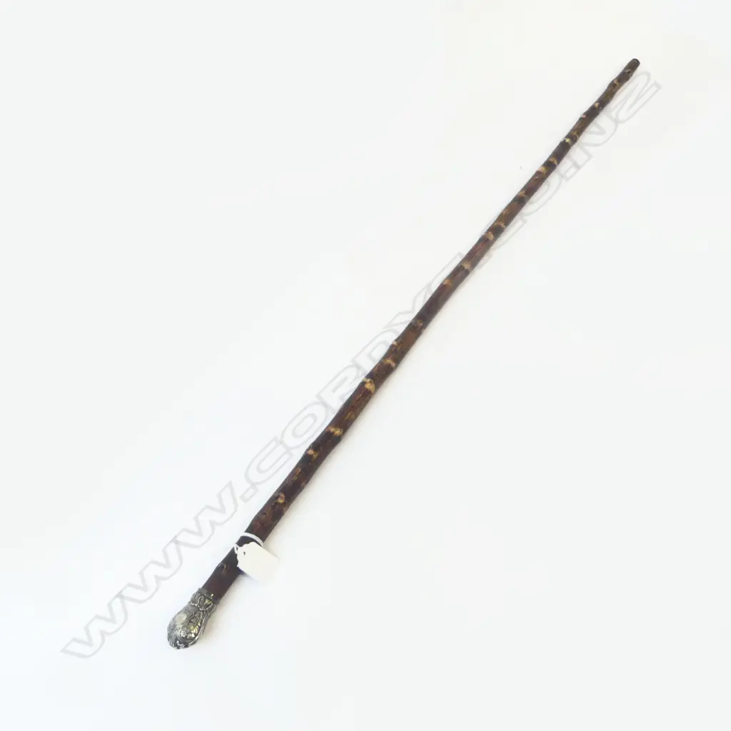 OLD SILVER PLATE ORNATE HANDLED KNOBBLY WOOD SHAFT L.950mm Image 1++