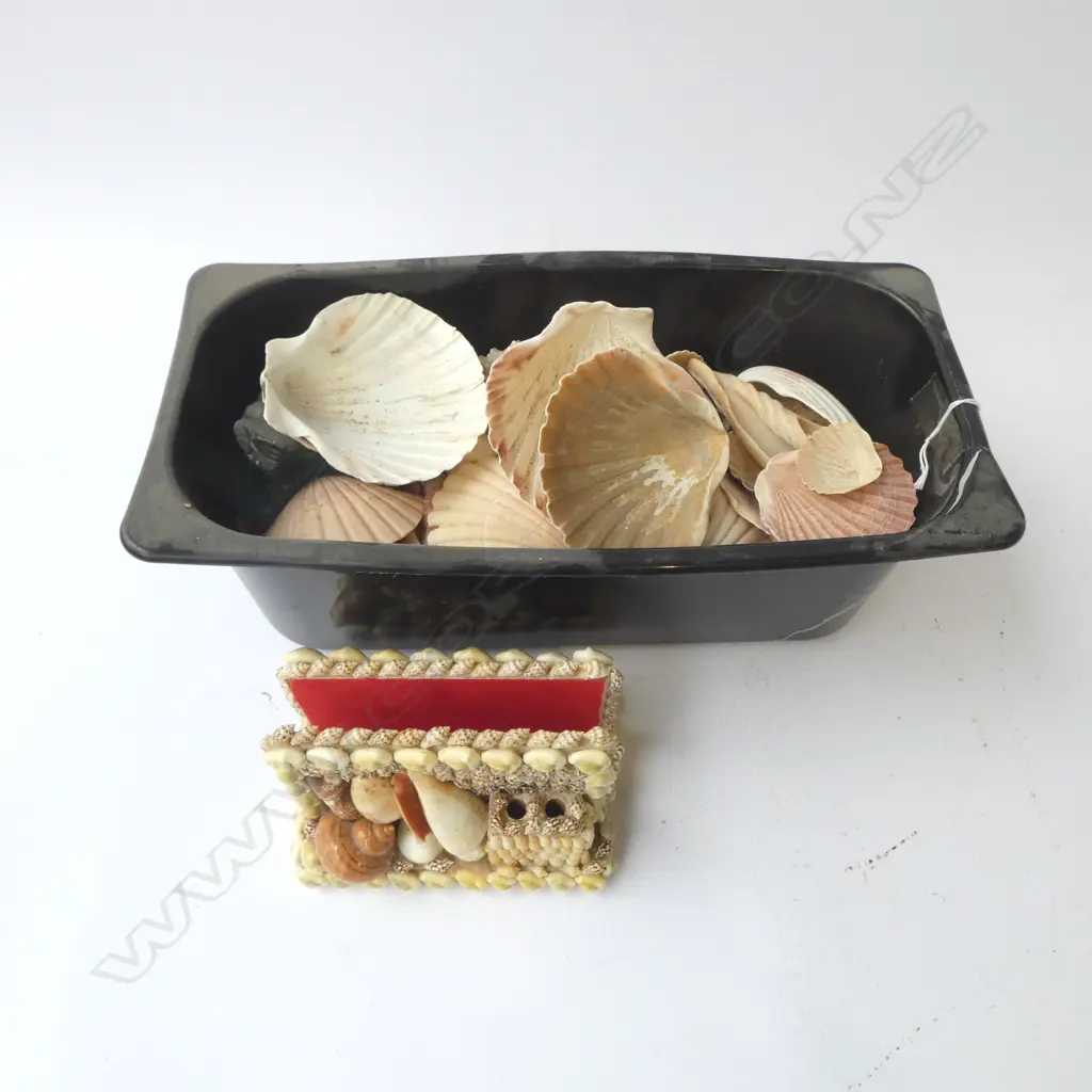 LARGE COLLECTION OF ASST SHELLS + SHELL DECORATED DESK STAND Image 1++