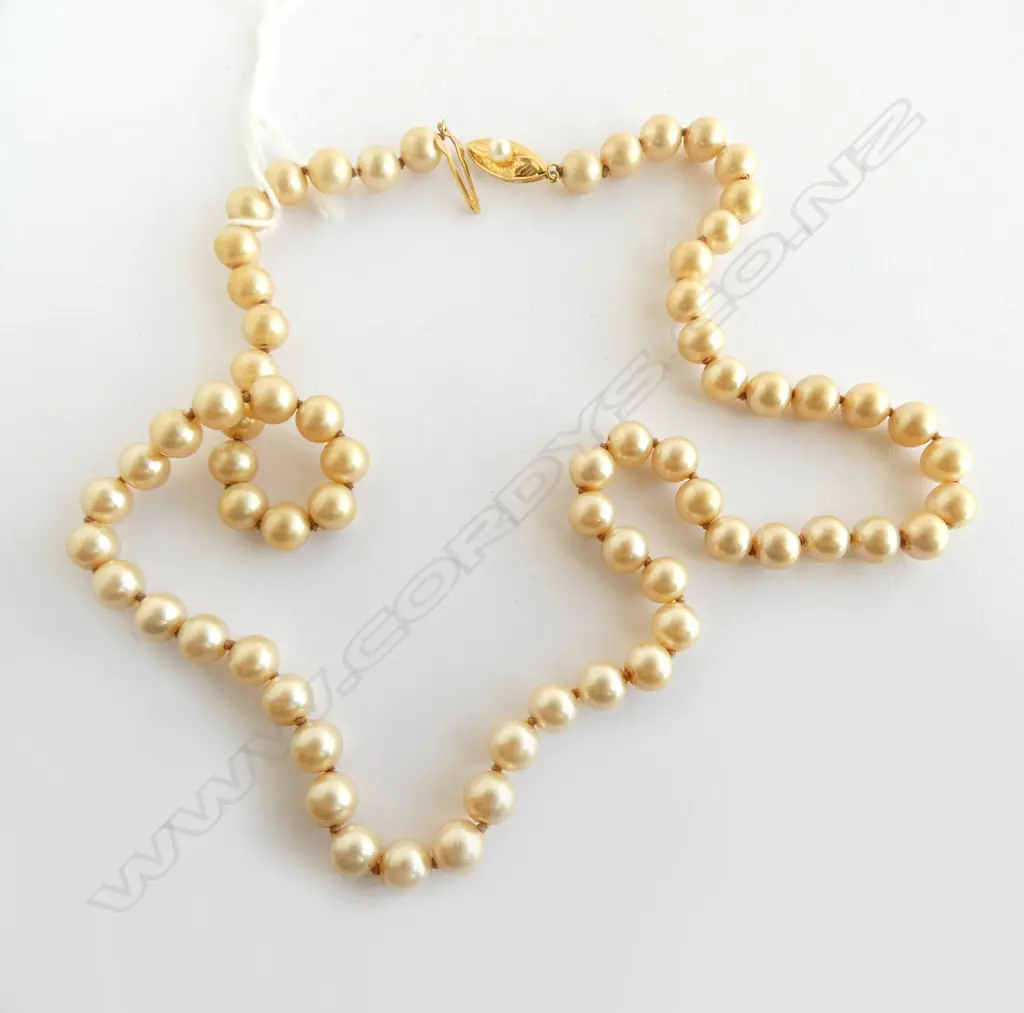 PEARL? NECKLACE w. 14ct CLASP Image 1++