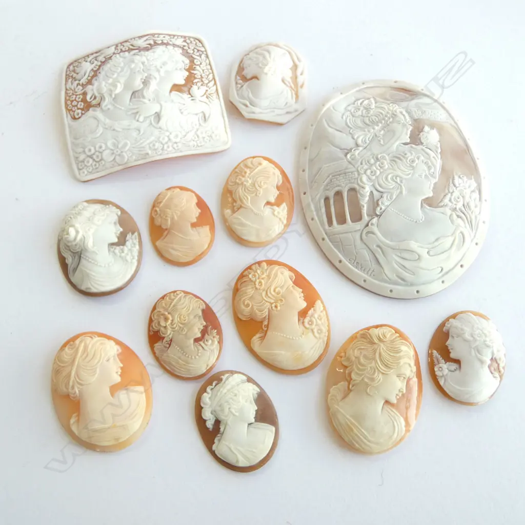 2 LARGE CARVED CAMEOS H.105mm +10 CAMEO PORTRAITS Image 1++