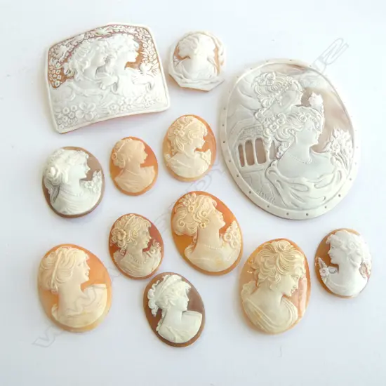 2 LARGE CARVED CAMEOS H.105mm +10 CAMEO PORTRAITS