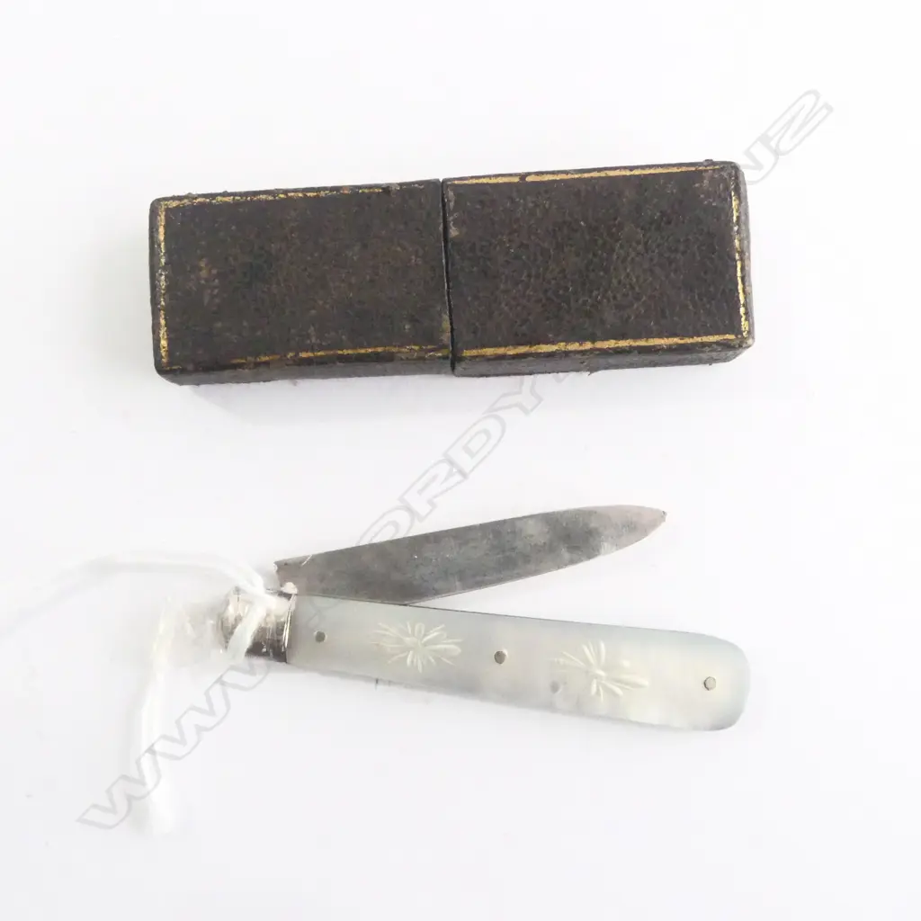 SILVER & MOP POCKET/FRUIT KNIFE in ORIGINAL CASE, SHEFFIELD 1878 Image 1++