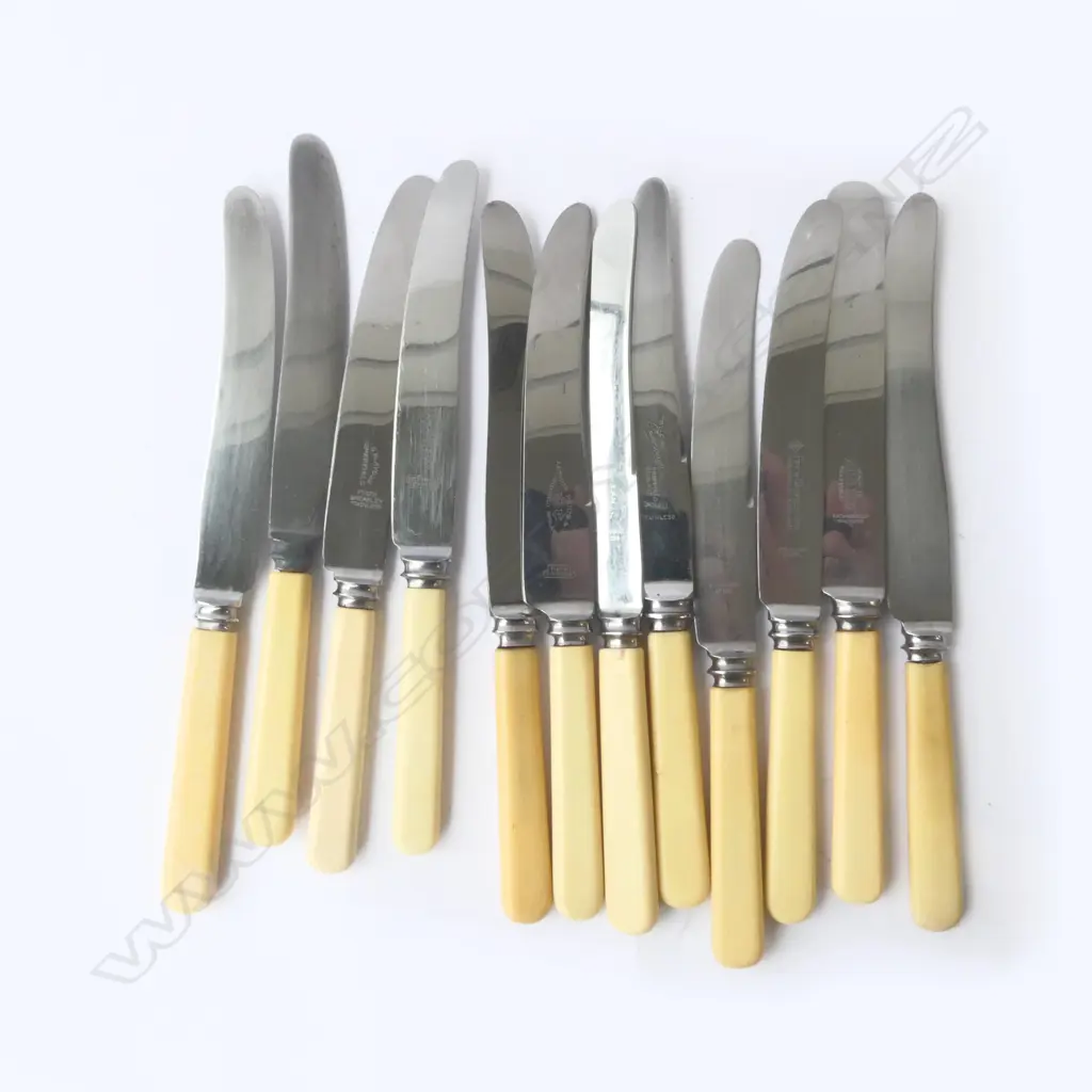 12 VINTAGE ‘BONE’ HANDLE DINNER KNIVES SHEFFIELD, L.230MM Image 1++