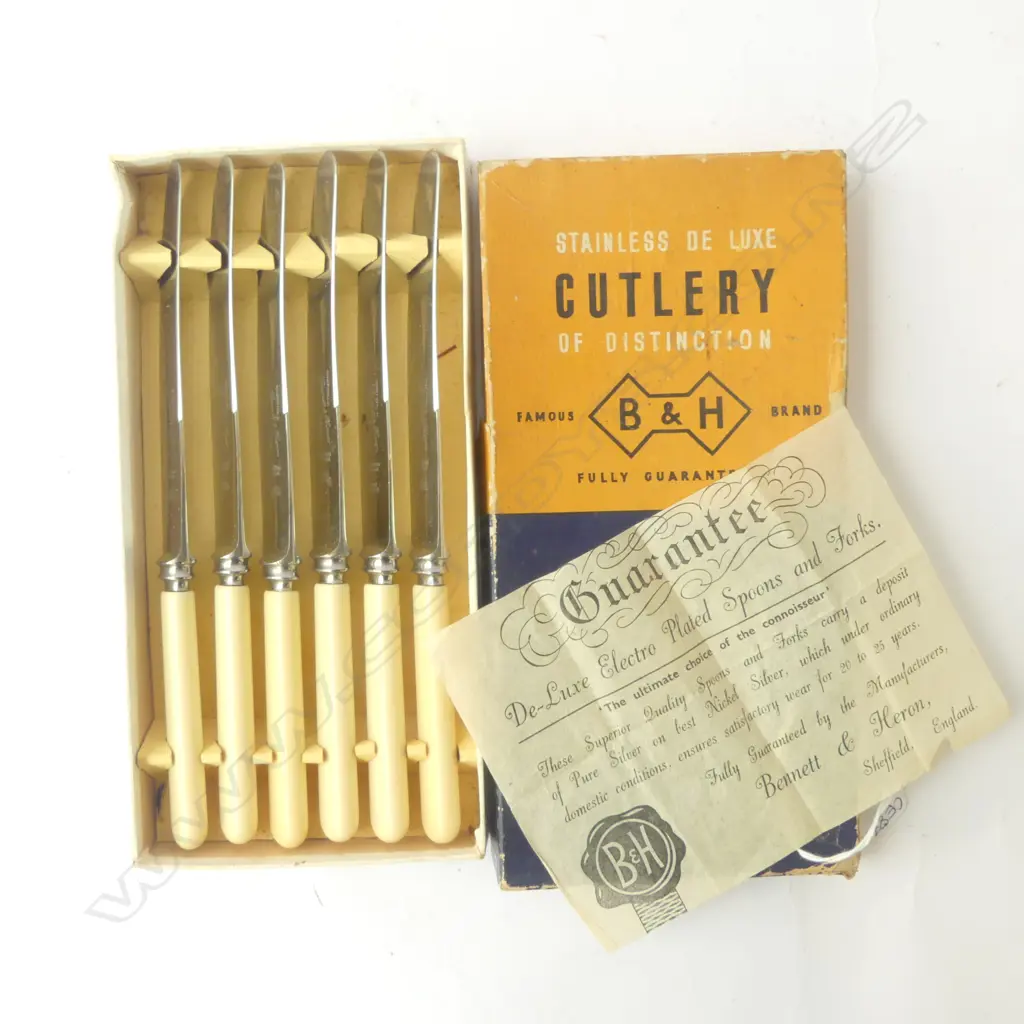 6 CASED IVORINE 'BONE' HANDLE KNIVES  Image 1++
