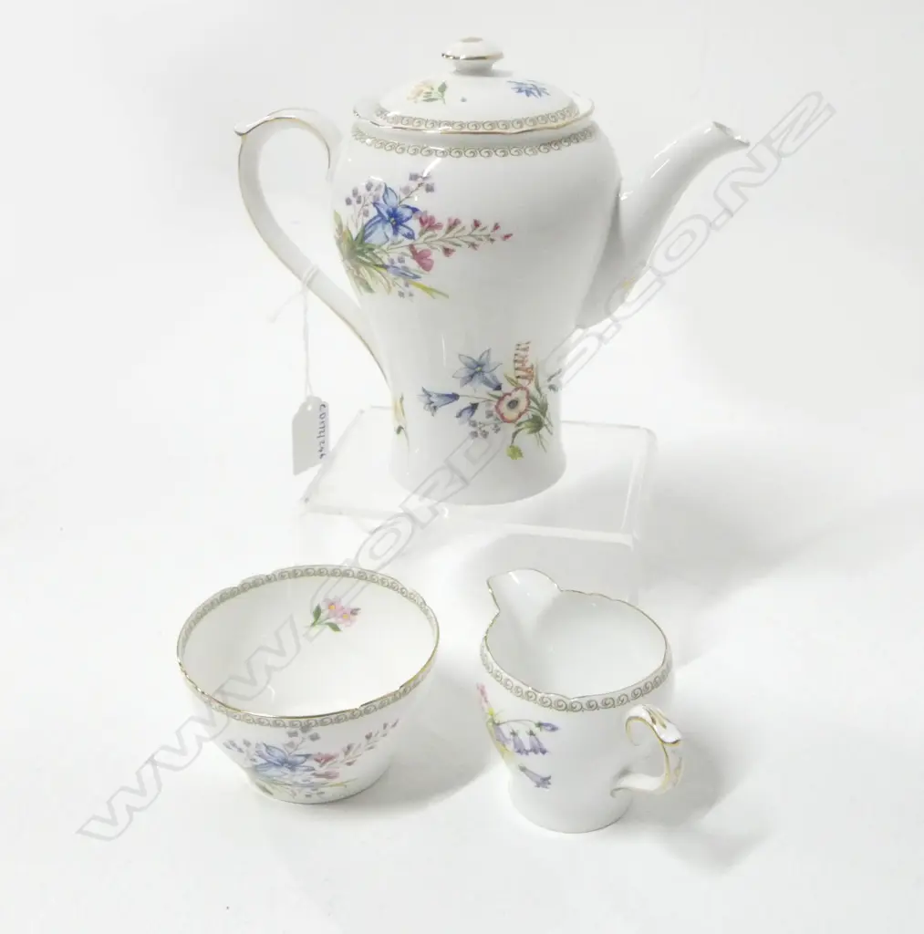 SHELLEY CHINA COFFEE POT C/SUGAR  SPRING FLOWER PAT Image 1++