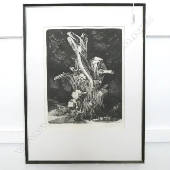 JOAN TAYLOR, TREE STUDY, PRINT Ed. 1/30, 640x480mm