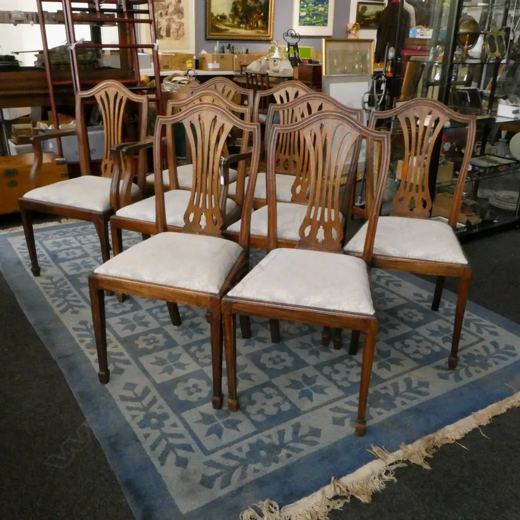 6 HEPPLEWHITE UPHOLSTERED STYLE CHAIRS + 2 CARVERS Image 1++