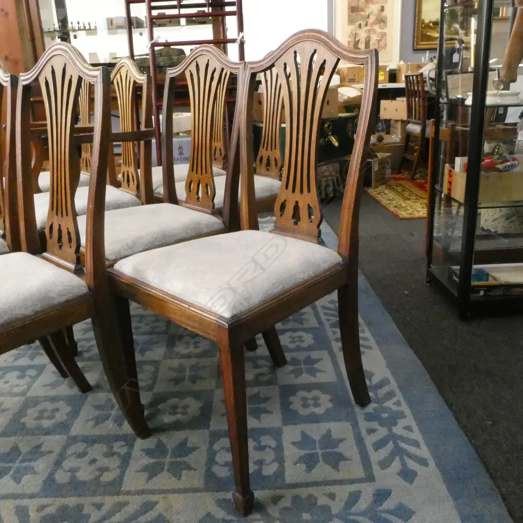 6 HEPPLEWHITE UPHOLSTERED STYLE CHAIRS + 2 CARVERS Image 1++