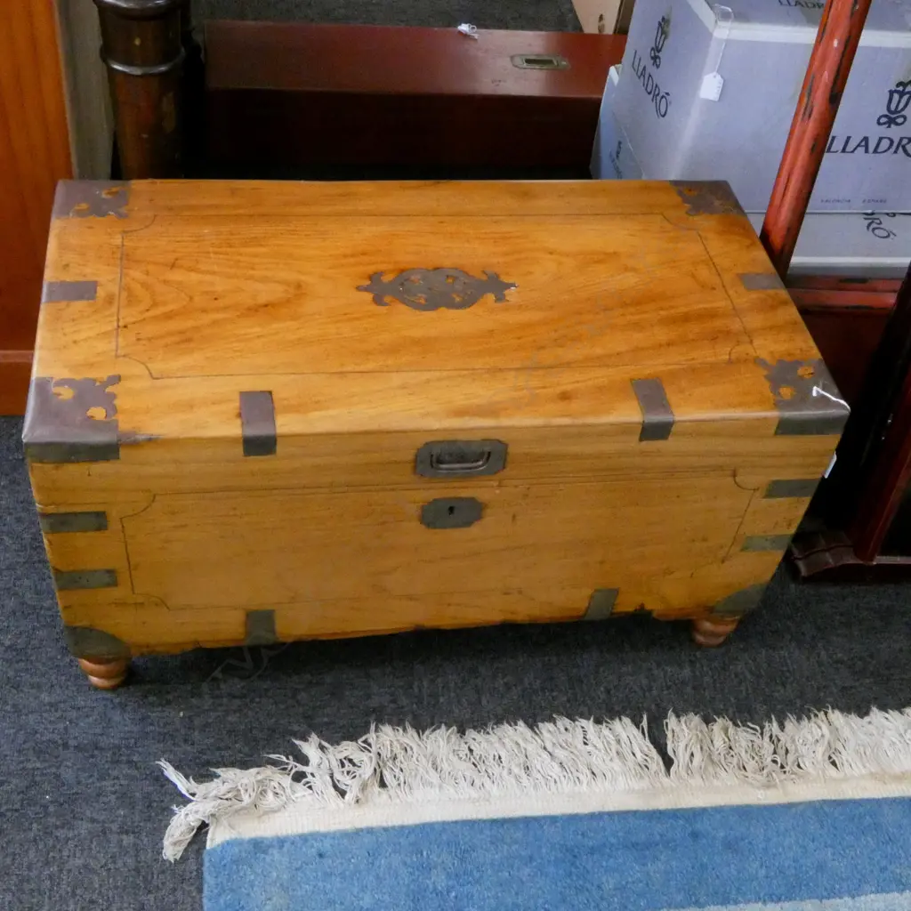 OLD CAMPAIGN STYLE BRASS BOUND CAMPHORWOOD CHEST ON BUN FEET 730x380x390mm Image 1++