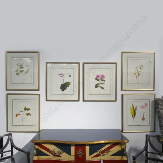 SET 6 BOTANICAL ANTIQUE STYLE PRINTS in gilt frames under glass. 580 x 505mm.
