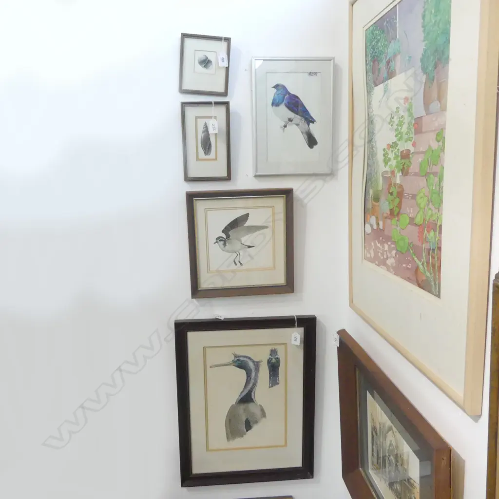 4 FRAMED ANIMAL STUDIES by DAVE GUNSON 320x230mm + KERERU by OLIVIA BEZETT Image 1++