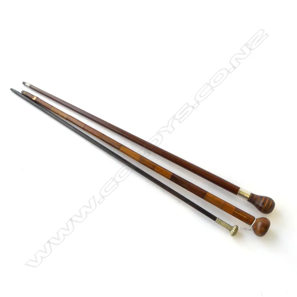3 WALKING STICKS; ONE WITH FIJI PENNY TO TOP L.180mm Image 1++