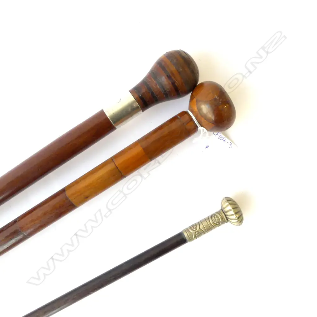 3 WALKING STICKS; ONE WITH FIJI PENNY TO TOP L.180mm Image 1++