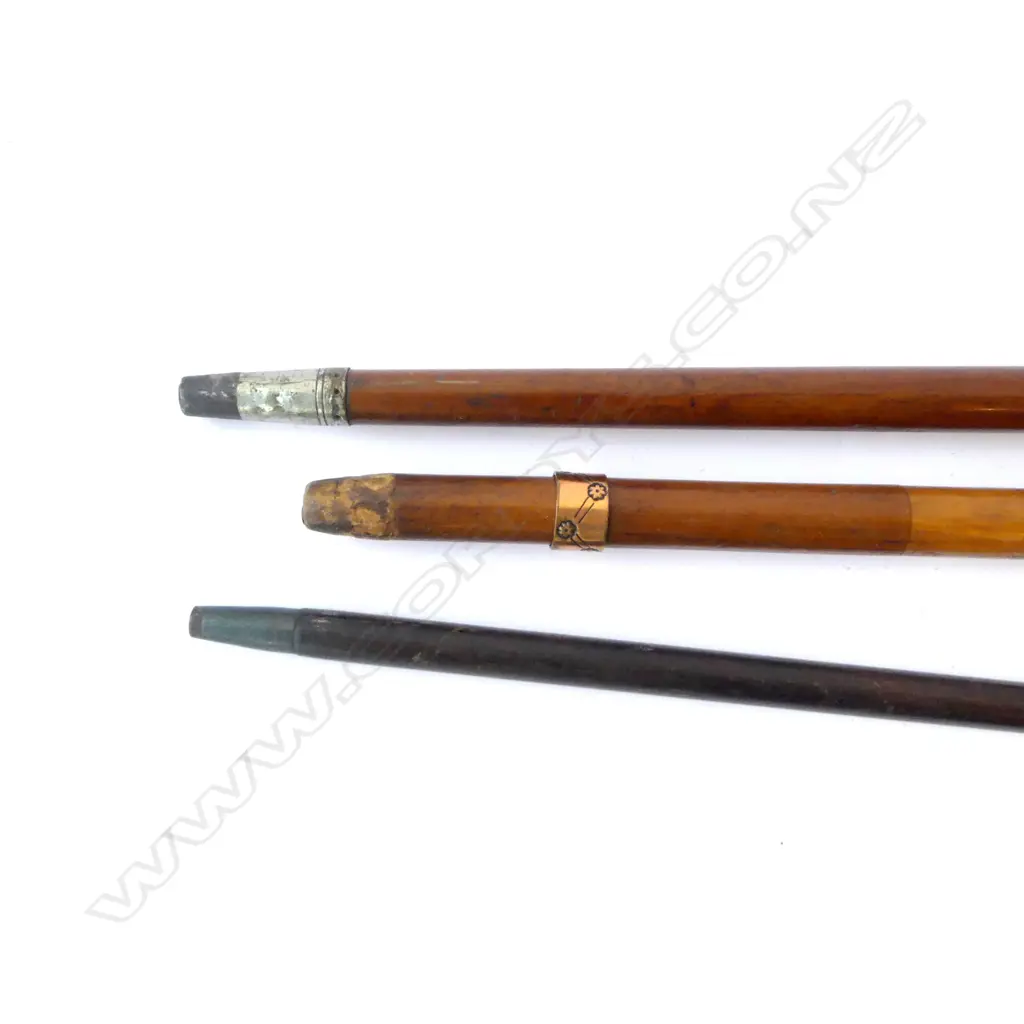 3 WALKING STICKS; ONE WITH FIJI PENNY TO TOP L.180mm Image 1++