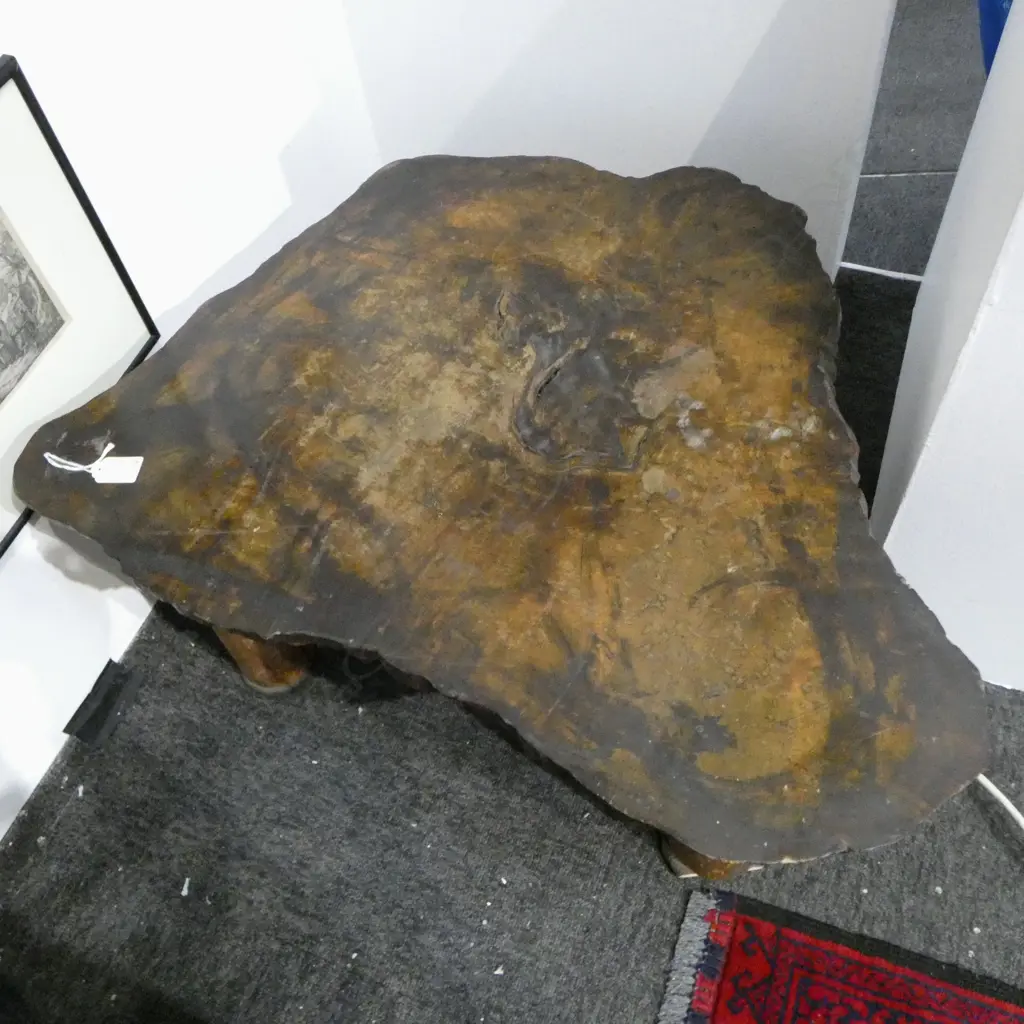 JAPANESE MEIJI EXOTIC SLAB TOPPED LOW (COFFEE) TABLE on 4 log form legs 700 x 600 c 330mm Image 1++
