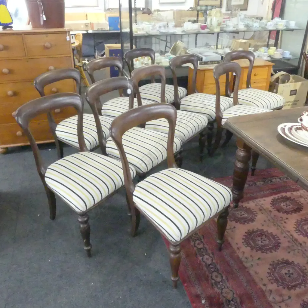 SET OF 10 MAHOGANY BALLOON BACKED DINNING CHAIRS Image 1++