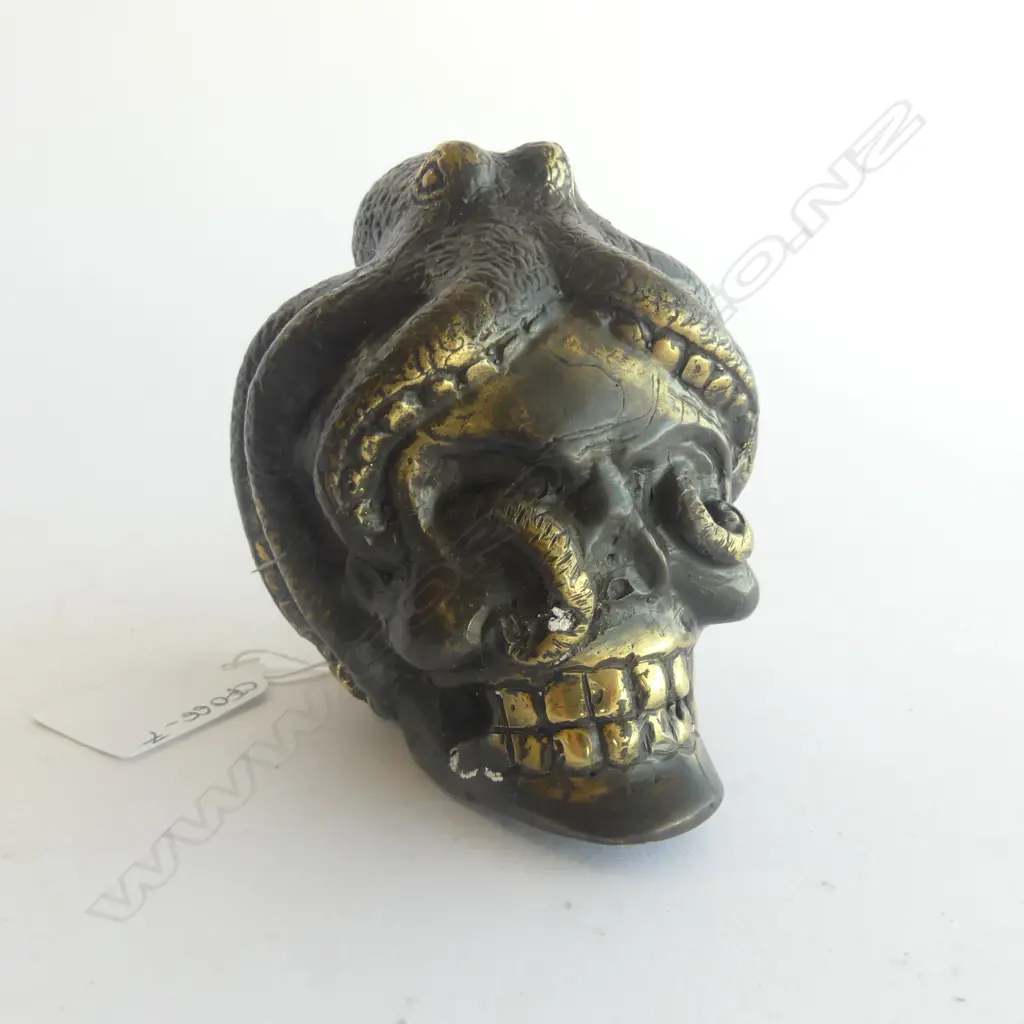 BRASS/BRONZE SKULL OCTOPUS ORNAMENT H.100mm Image 1++