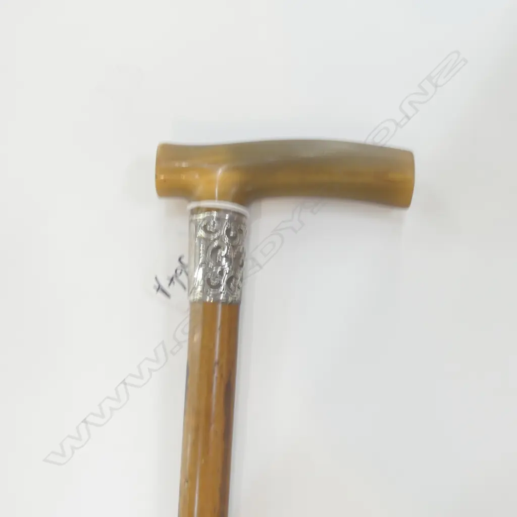 VINTAGE WALKING STICK, HORN HANDLED w SILVER COLLAR Image 1++