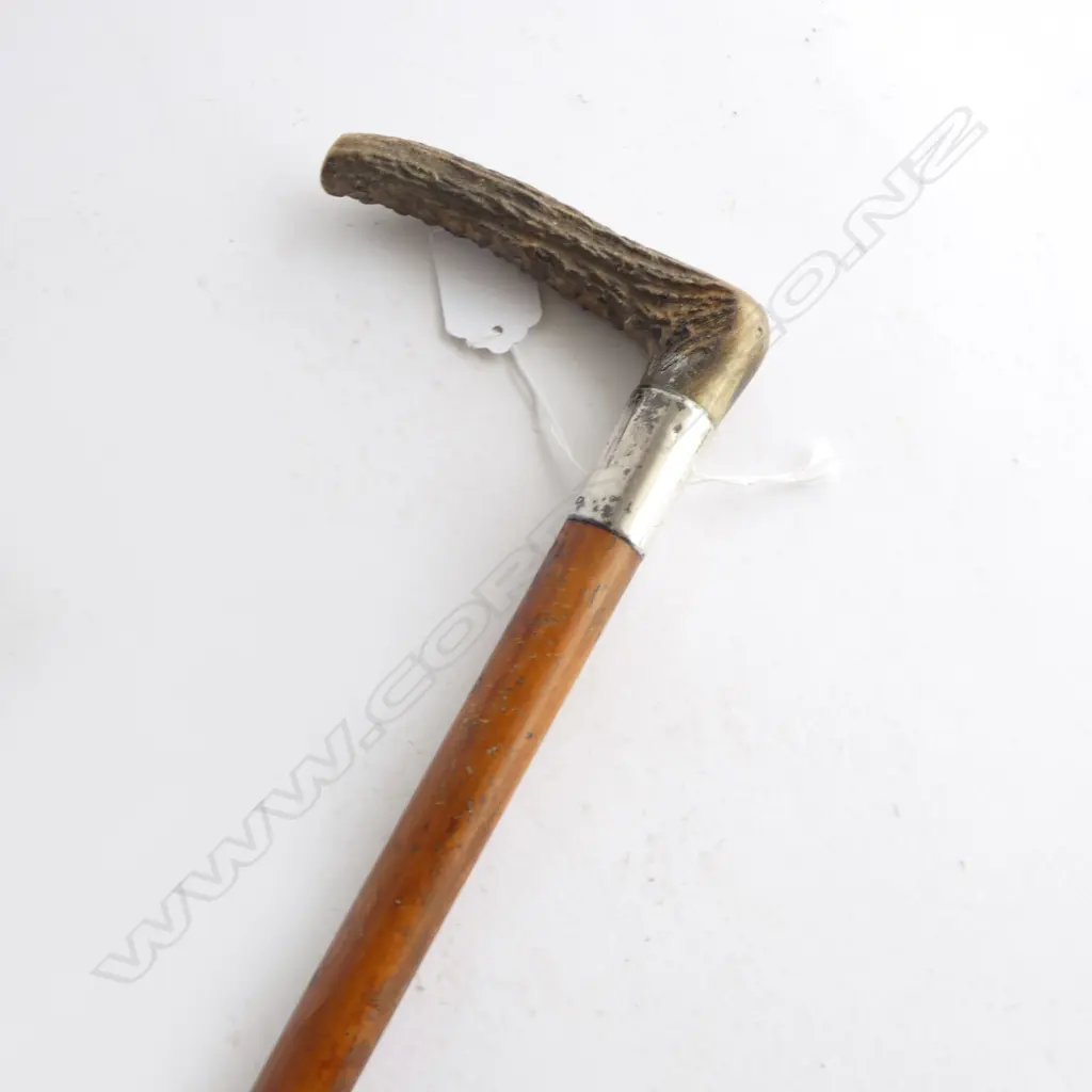 c.1900 MALACA CANE RIDING CROP w ANTLER HANDLE & SILVER COLLAR Birmingham 1904. L.800mm Image 1++