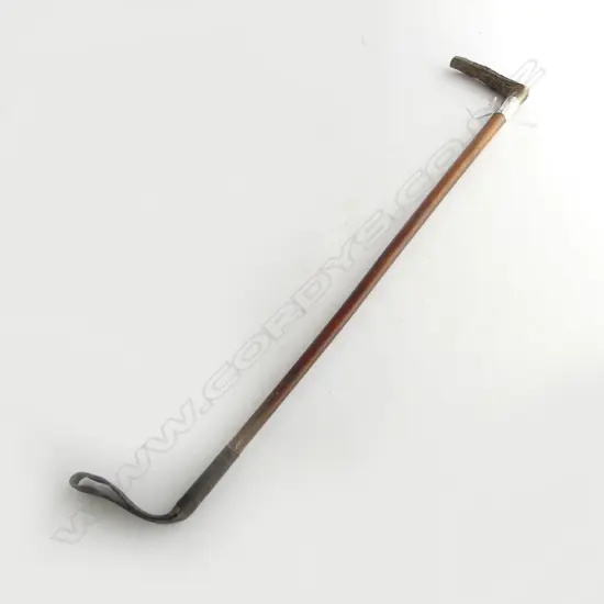 c.1900 MALACA CANE RIDING CROP w ANTLER HANDLE & SILVER COLLAR Birmingham 1904. L.800mm