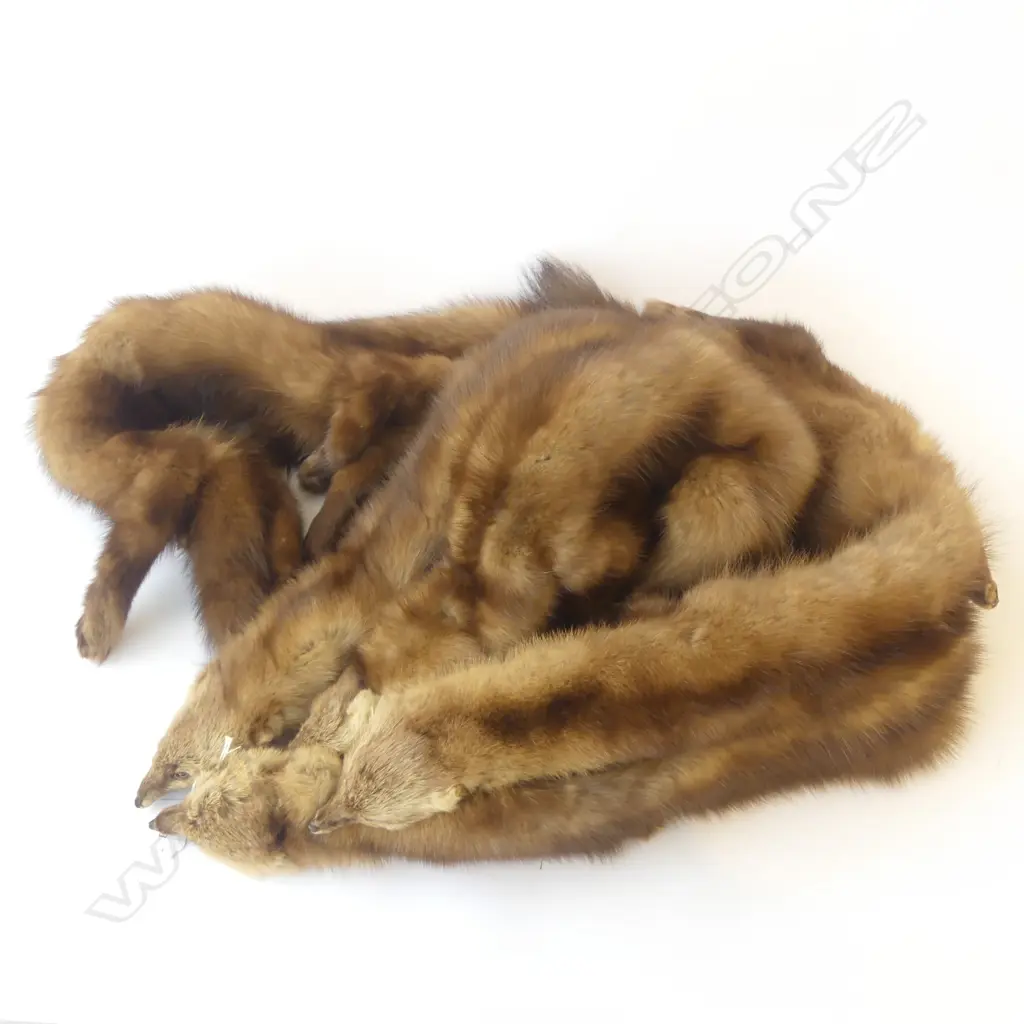 MINK STOLE Image 1++