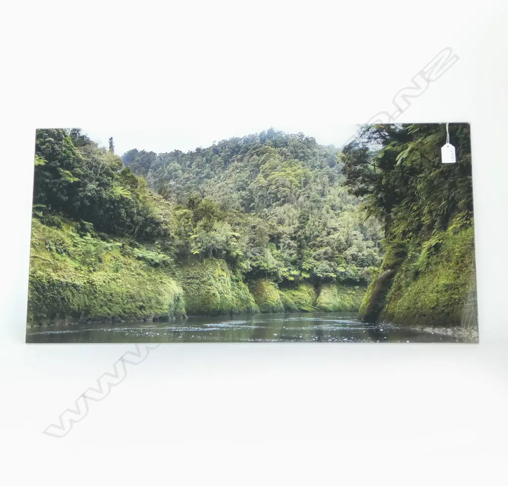 BARBARA VAN DER WOERD 'WHANGANUI RIVER', PHOTO PRINT ON ACYLIC BOARD 410x815mm Image 1++
