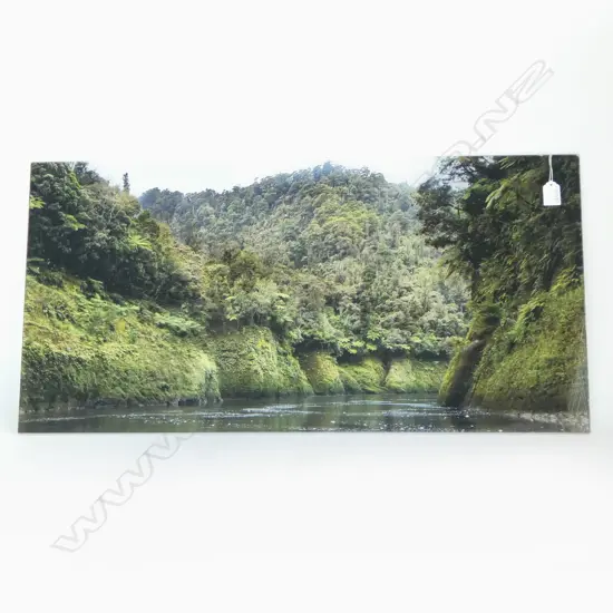 BARBARA VAN DER WOERD 'WHANGANUI RIVER', PHOTO PRINT ON ACYLIC BOARD 410x815mm
